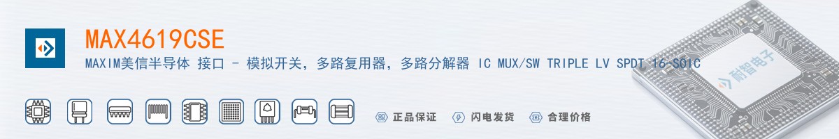 MAX4619CSE������