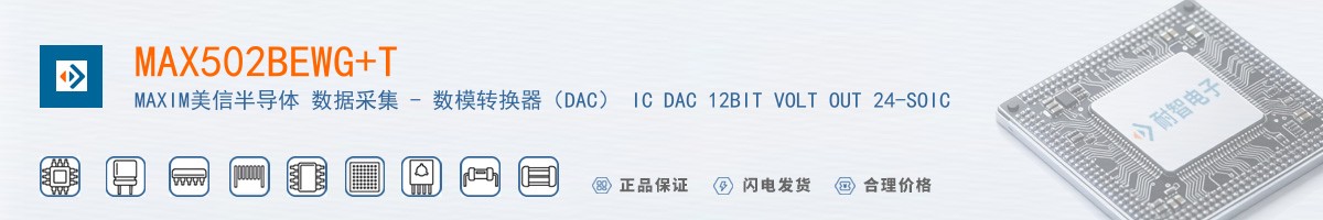 MAX502BEWG+T������