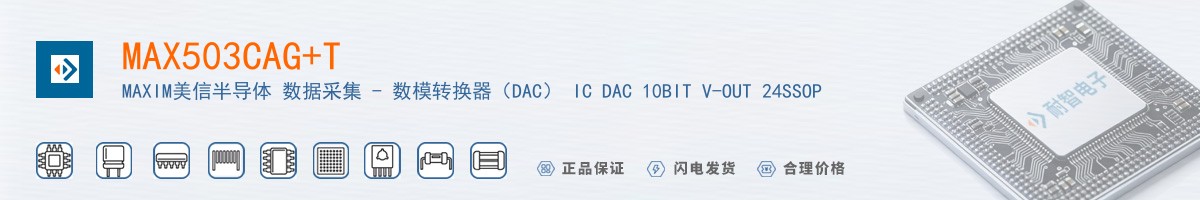 MAX503CAG+T������
