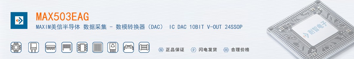 MAX503EAG+������