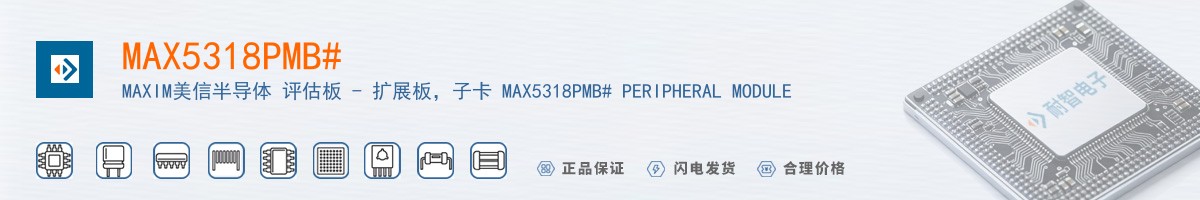 MAX5318PMB#������