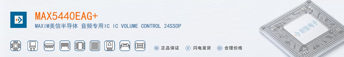 MAX5440EAG+������