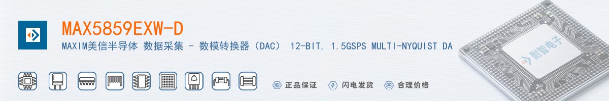 MAX5859EXW-D������