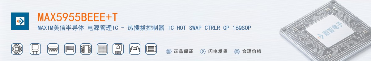 MAX5955BEEE+T������