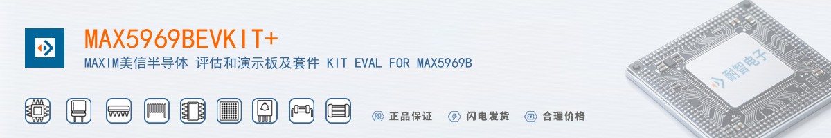 MAX5969BEVKIT+������