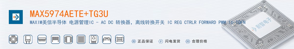 MAX5974AETE+TG3U������
