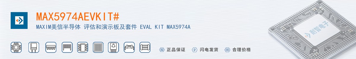 MAX5974AEVKIT#������