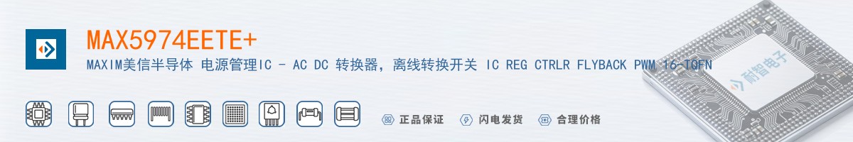 MAX5974EETE+������
