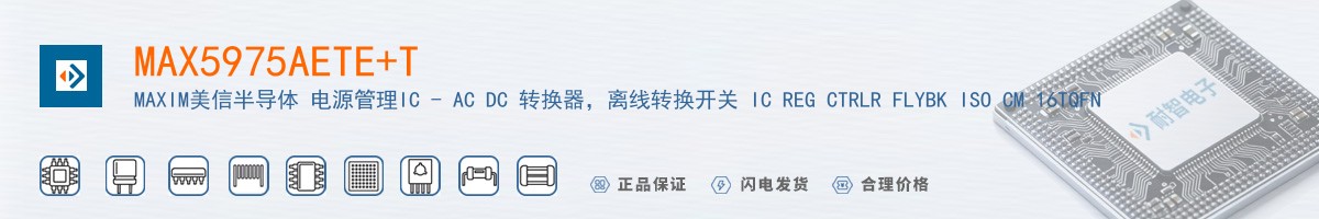 MAX5975AETE+T������