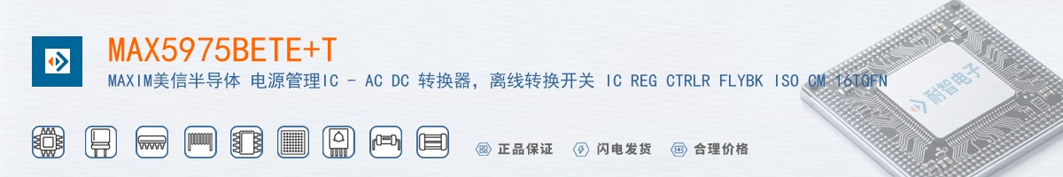 MAX5975BETE+T������