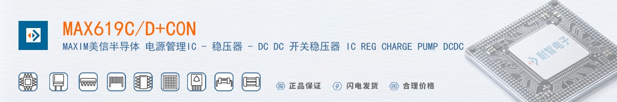 MAX619C/D+C0N������