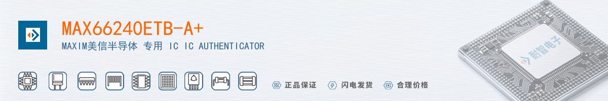 MAX66240ETB-A+������