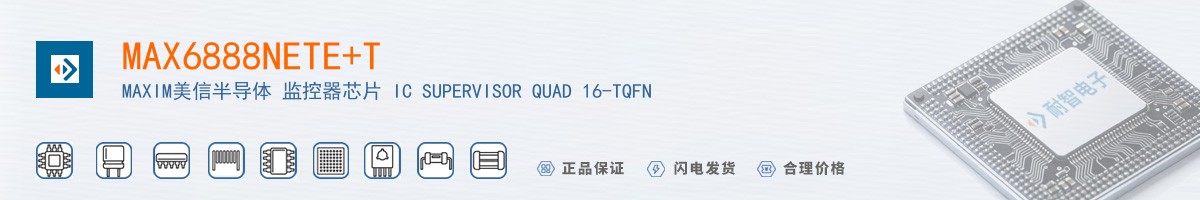 MAX6888NETE+T������