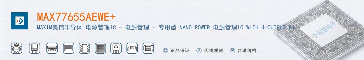 MAX77655AEWE+������