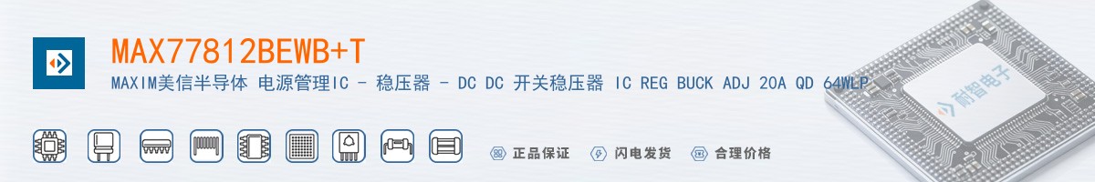 MAX77812BEWB+T������