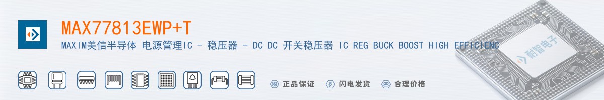 MAX77813EWP+T������