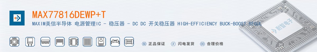 MAX77816DEWP+T������