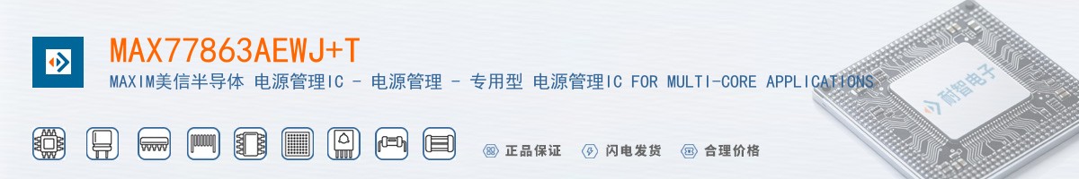 MAX77863AEWJ+T������