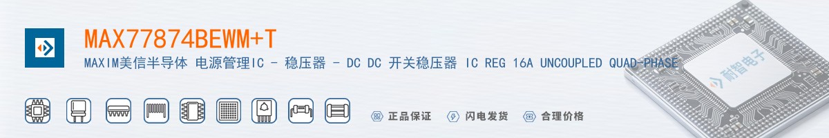 MAX77874BEWM+T������
