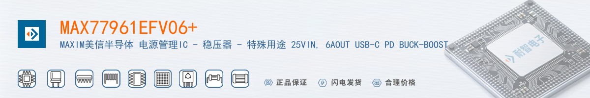 MAX77961EFV06+������
