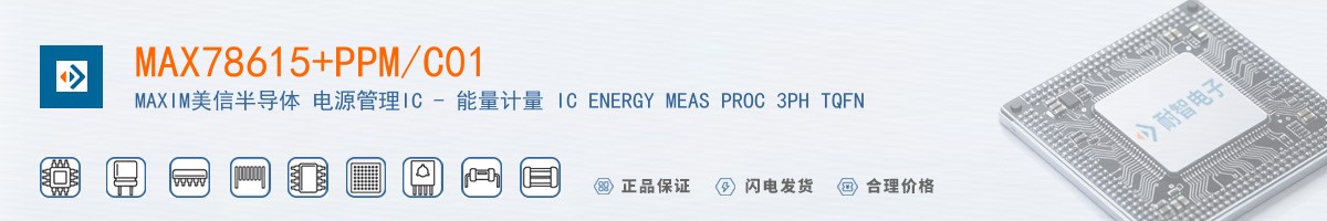 MAX78615+PPM/C01������