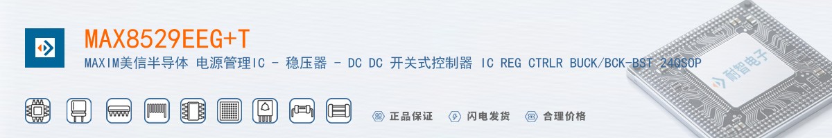 MAX8529EEG+T������
