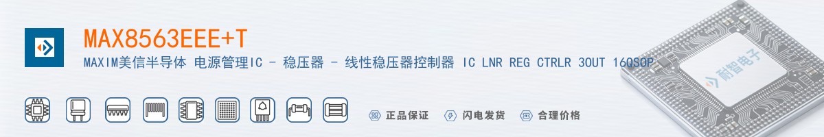 MAX8563EEE+T������