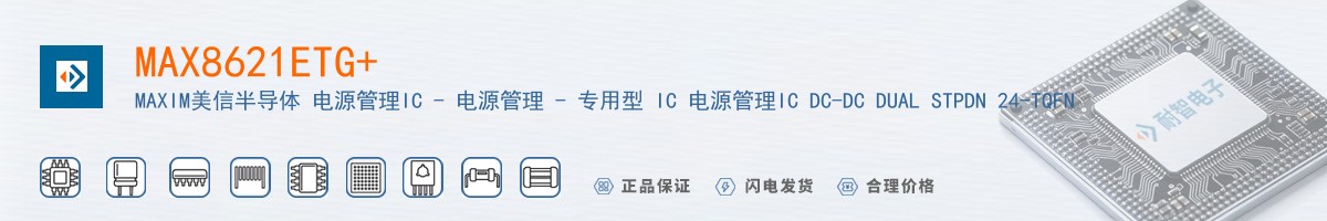 MAX8621ETG+������