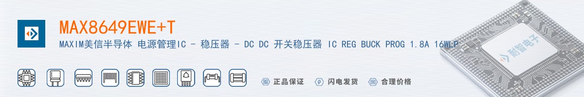 MAX8649EWE+T������