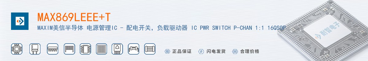 MAX869LEEE+T������
