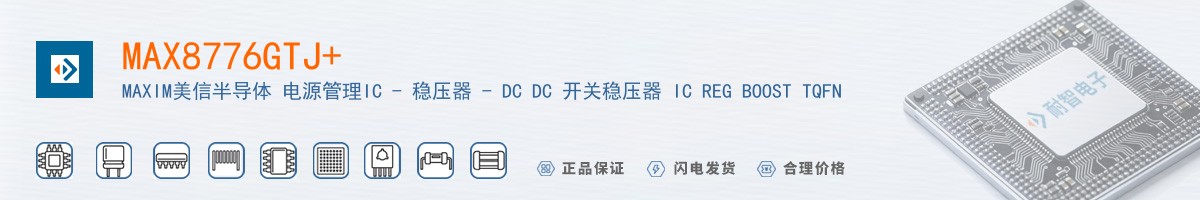 MAX8776GTJ+������