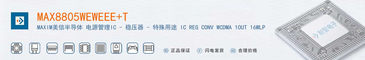 MAX8805WEWEEE+T������
