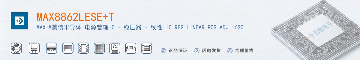 MAX8862LESE+T������