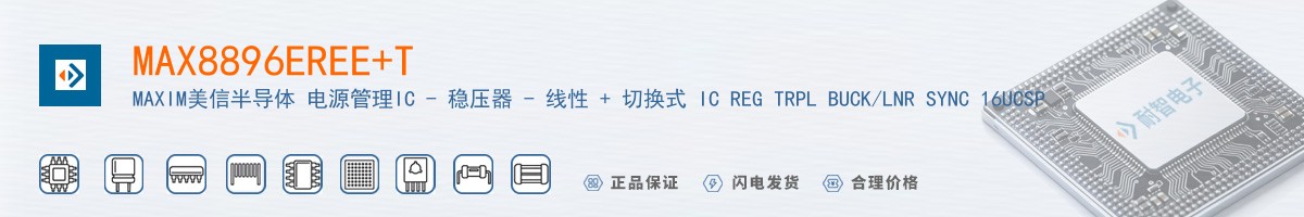 MAX8896EREE+T������