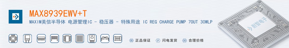 MAX8939EWV+T������