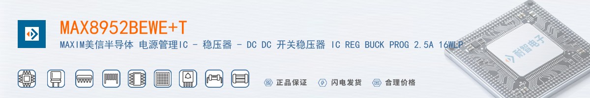 MAX8952BEWE+T������
