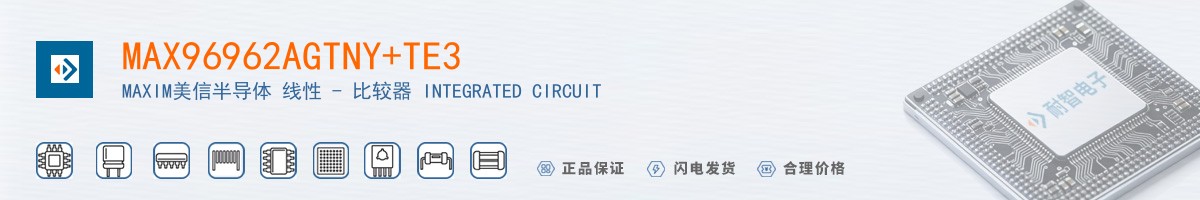 MAX96962AGTNY+TE3������