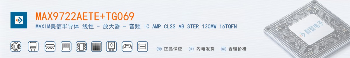 MAX9722AETE+TG069������