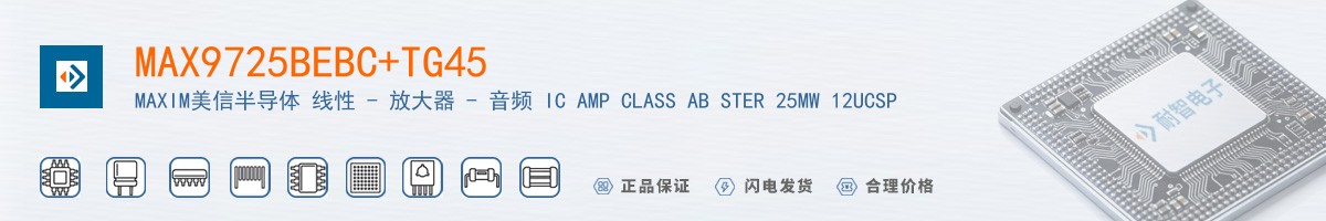 MAX9725BEBC+TG45������