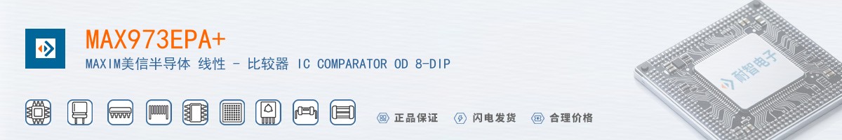 MAX973EPA+������