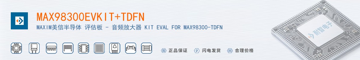 MAX98300EVKIT+TDFN������