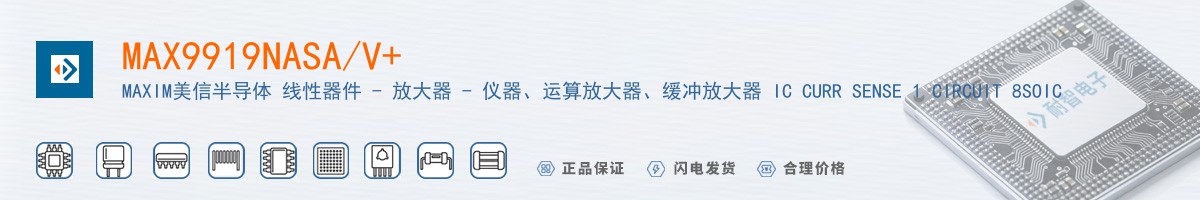 MAX9919NASA/V+������