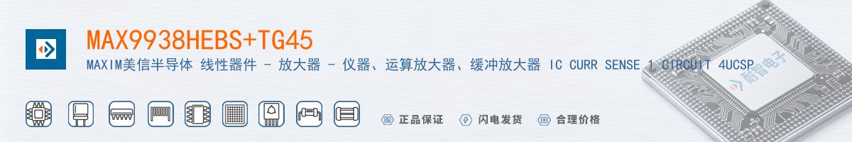 MAX9938HEBS+TG45������