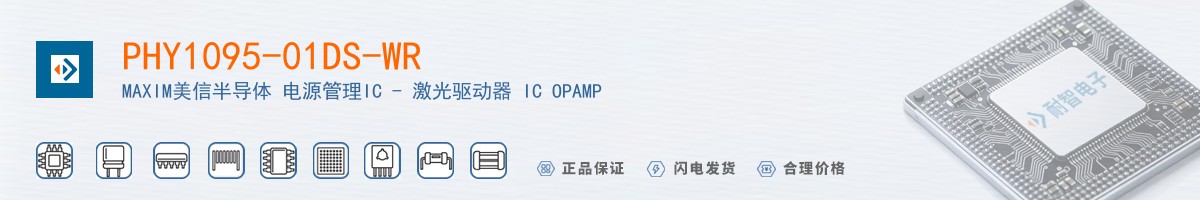PHY1095-01DS-WR������