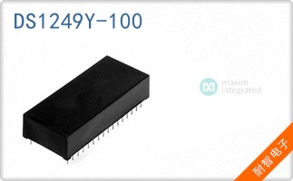 DS1249Y-100